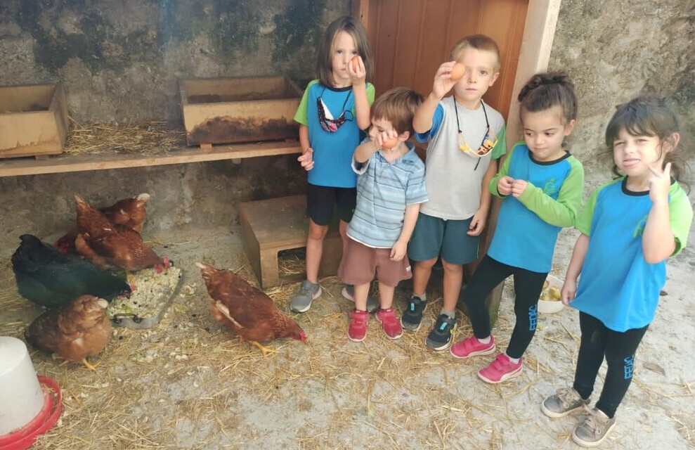Alumnes d'educació infantil de l'escola FEDAC Gironella ensenyen els ous que han post les gallines del projecte Galliner.