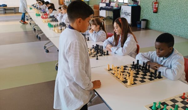 Alumnes de l'escola FEDAC Sant Narcís en una activitat del projecte d'escas educatius i socials, reconegut amb la certificació d'innovació pedagògica del departament d'Educació.