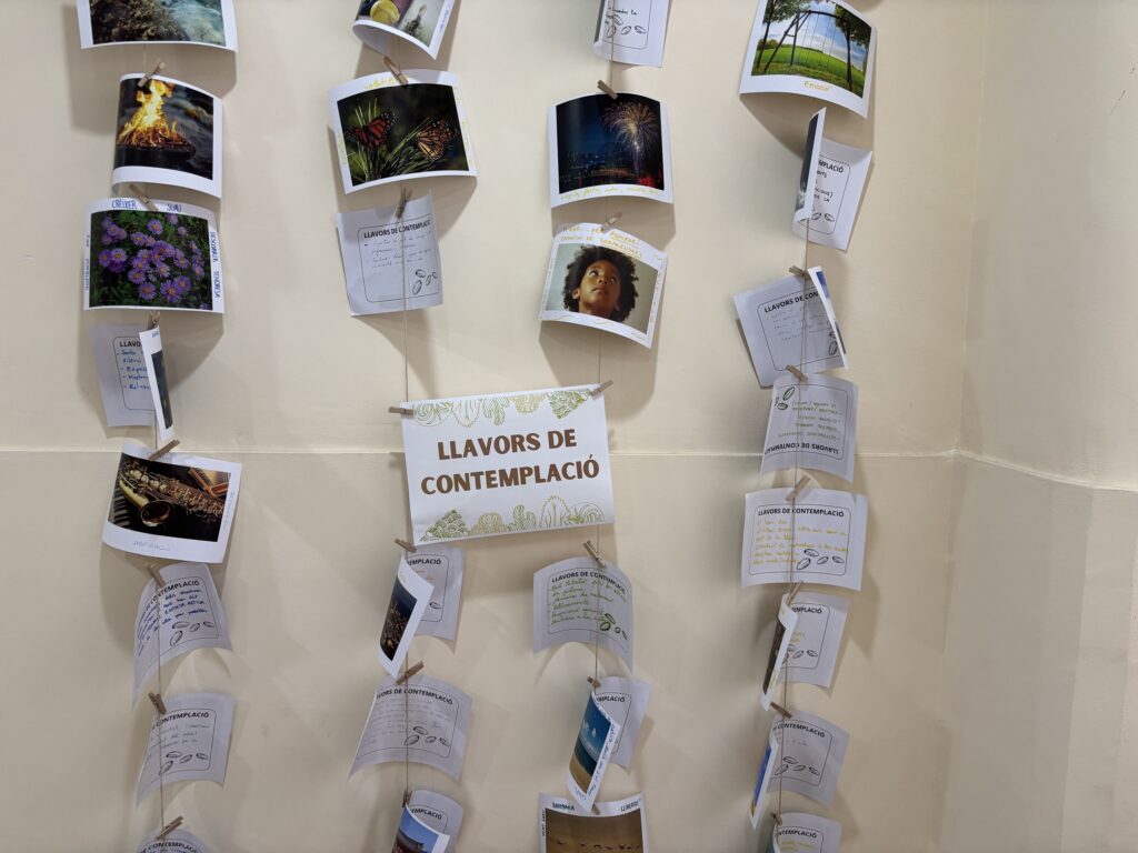 Reflexions dels alumnes de les escoles FEDAC al voltant del lema del curs 2024-25 "Contempla la vida".